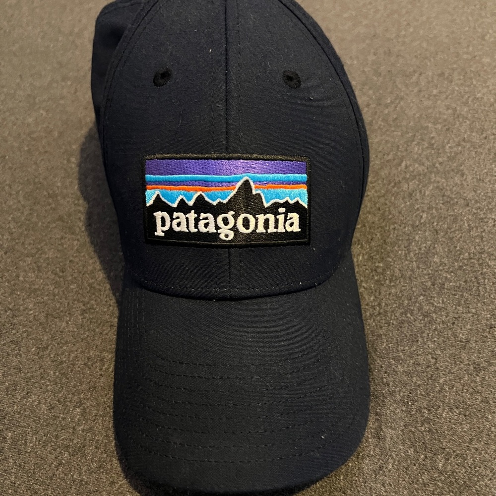 Patagonia Navy Hat